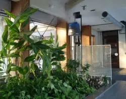 PS マダガスカル（北海道・北広島）