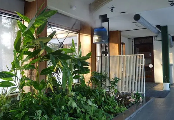 PS マダガスカル（北海道・北広島）