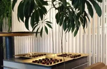 涼しさを必要とする食品に