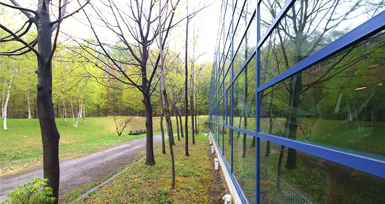 IDIC散歩道の写真